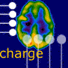 Charge- The experience of Epilepsy
