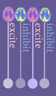 Excite & inhibit